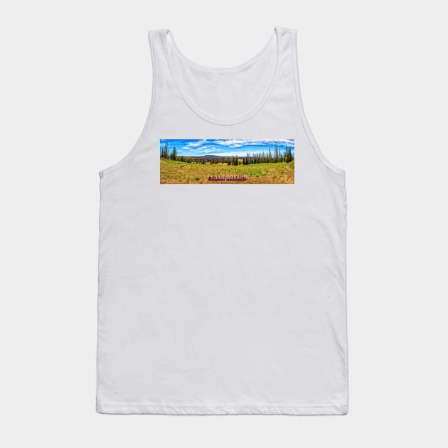 Cedar Breaks National Monument Tank Top by Gestalt Imagery